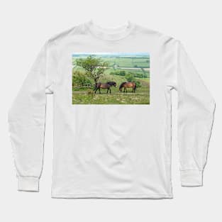 Exmoor Ponies Long Sleeve T-Shirt